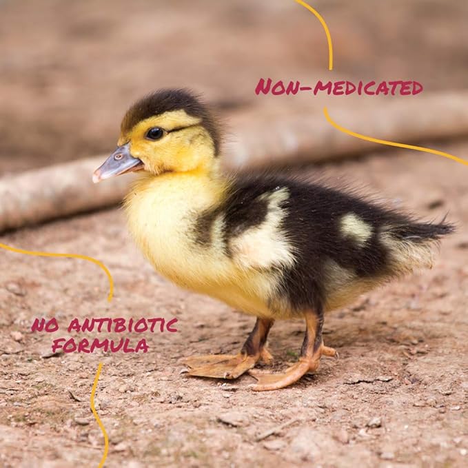 Manna Pro Duck Starter Grower Crumble | Non-Medicated Feed for Young Ducks | Supports Healthy Digestion | 25 Pounds