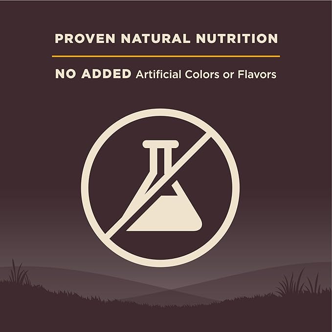 Wellness CORE Puppy Dry Dog Food, Grain Free Kibble, Natural, High Protein, Chicken and Turkey Recipe, 26 lb Bag