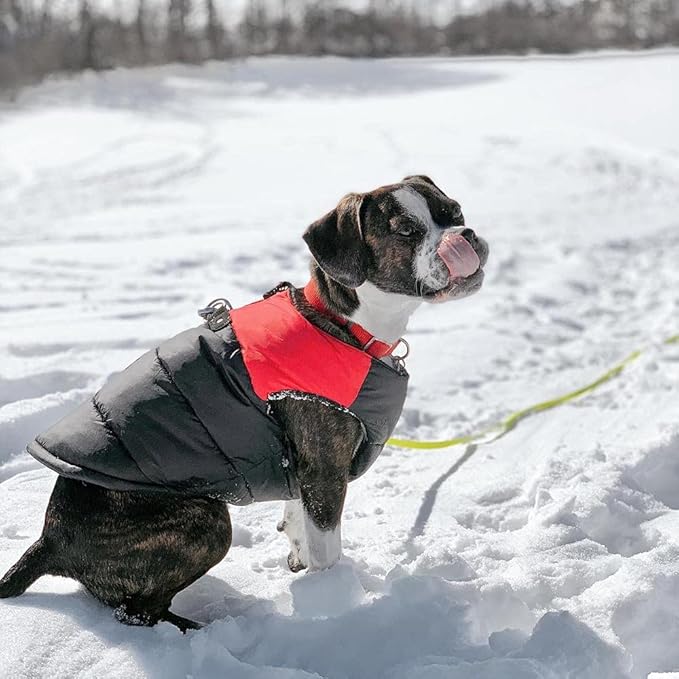 Gooby Padded Vest Dog Jacket - Red, Small - Warm Zip Up Vest Fleece Jacket with Dual D Ring Leash Water Resistant for Small to Medium Dogs
