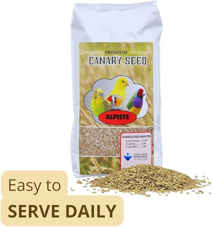Alpiste Canary Seed 10Lb Bag – Natural Bird Food for Canaries and Small Birds, Finch Food Supports Breeding Growth Digestion Healthy Plumage Bone Strength & Eggshell Formation