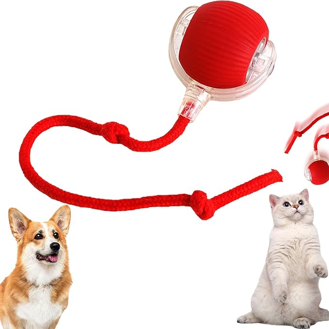Chewie Viral Rolling Ball for Cats Dogs, Rechargeable Interactive Cat Dog Toys, Active Rolling Ball Cat Toy for Puppy Small Medium Large Dogs, 360° Smart Automatic Rolling Pet Ball