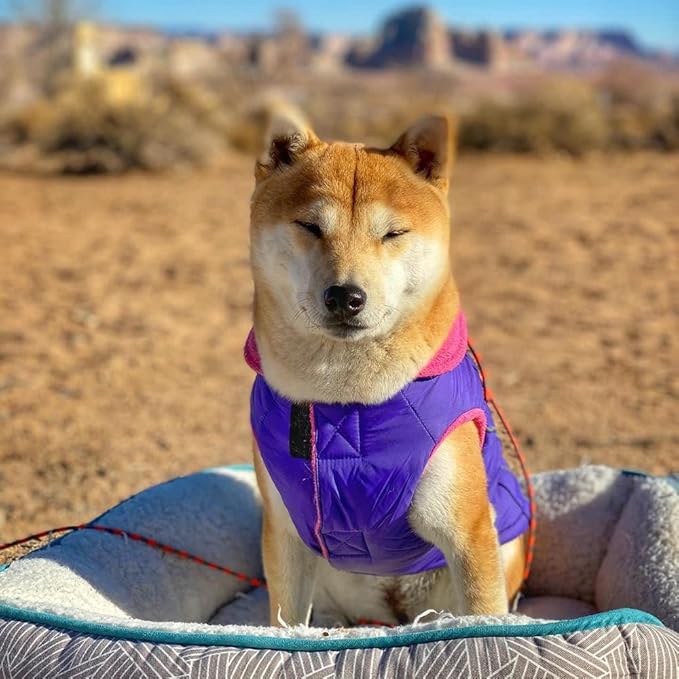 Gooby Sports Vest Dog Jacket - Purple, Medium - Reflective Dog Vest with D Ring Leash Warm Fleece Lined Hook and Loop Closure for Small to Medium Dogs