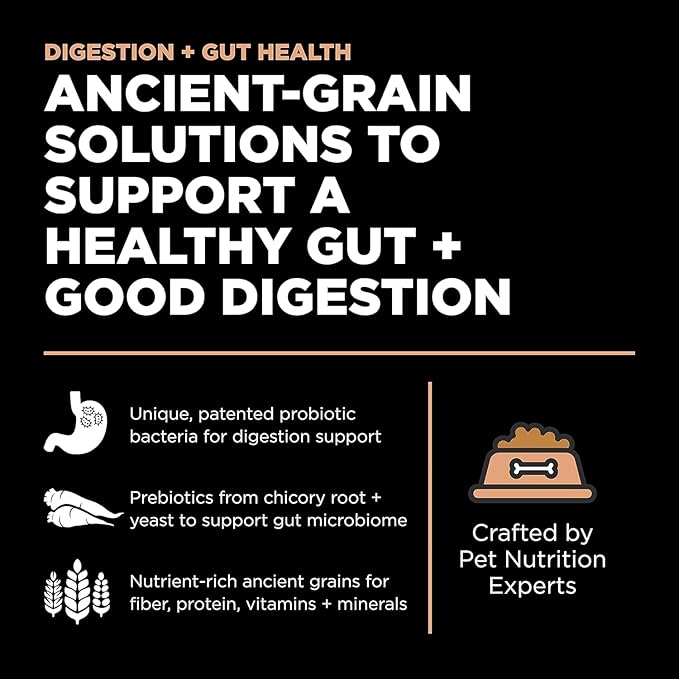 Go! Solutions Digestion + Gut Health Salmon Dry Dog Food, Premium Chicken-Free Kibble for Gastrointestinal & Digestive Wellness, Supports Sensitive Stomachs, for Puppies, Adults & Seniors, 22 lb Bag