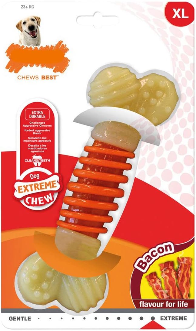 Nylabone Pro Action Dental Device Dog Chew Toy [Set of 2] Size: Large