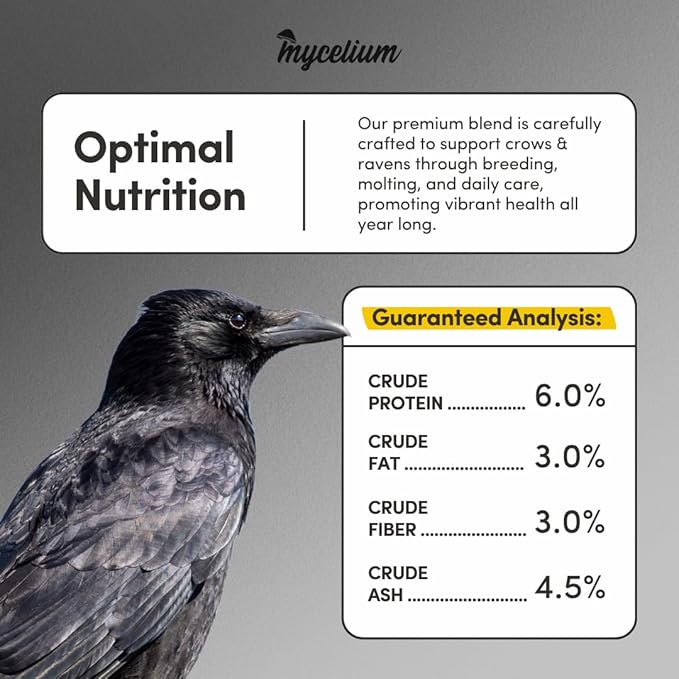 Mycelium Premium Crow Food | 5 LB Organic Corn for Crows, Ravens, & Wild Birds | High-Energy, No-Mess Bird Seed for Outdoor Feeders & Ground Feeding | Non-GMO, Made in USA