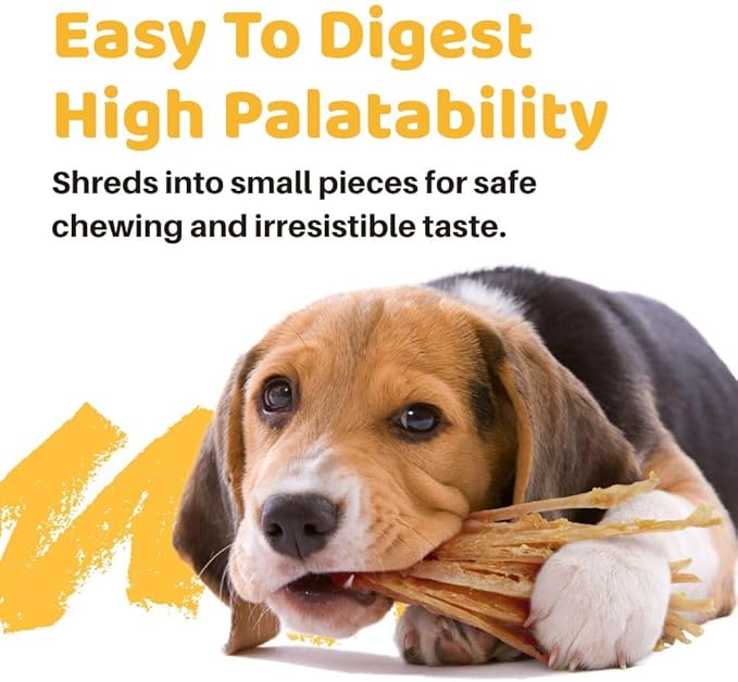 iPaw 5 Packs Value Combo Turkey Tendons for Dogs, Single Protein, Hypoallergenic, All Natural Human Grade Puppy Chew, Rawhide Alternative Dog Treats, Strip (Large)