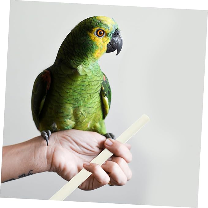TOYANDONA 10pcs Natural Chewing Toys for Parrots Molar Sticks for Birds for Pets and Creative Bird Cage Accessories