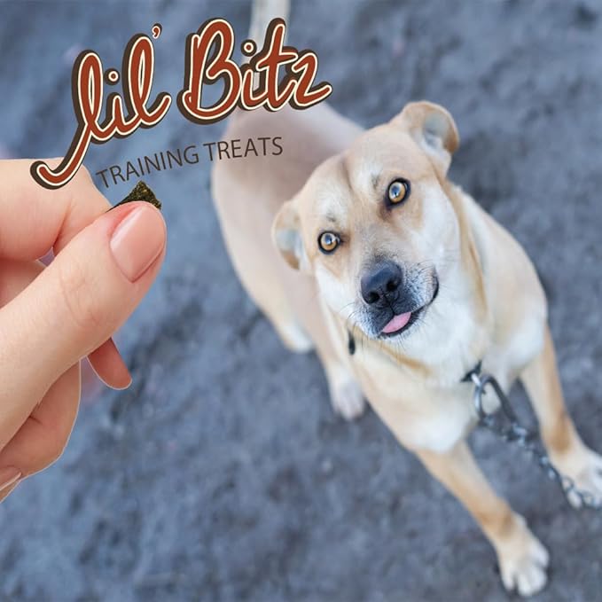 Soft & Chewy Training Treats for Dogs, Bite Size Reward Treats for Training & Positive Reinforcement, Grain Free Dog Treats Made with Real Beef, Hickory Smoked Beef Flavor, 3 Pack (4 oz Each)