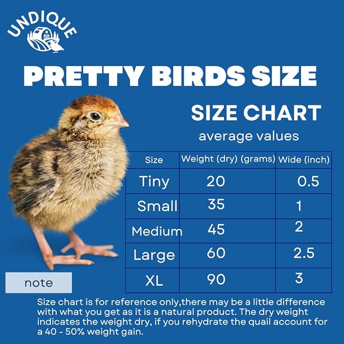 Undique Bird Dog Training Quail - Premium Freeze-Dried Whole Quail for Dogs 5ct, Large (Chick) - Natural Prey Feeding Quality Protein Pet Treats with Essential Nutrients and Enzymes