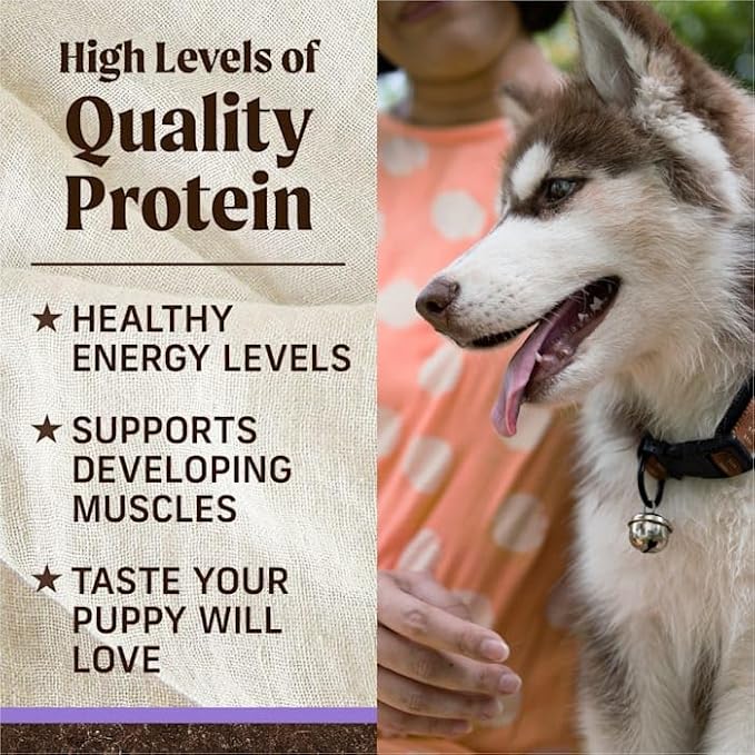 Merrick Grain Free Beef + Sweet Potato Recipe Dry Puppy Food, 4 lbs. ( packaging may vary )