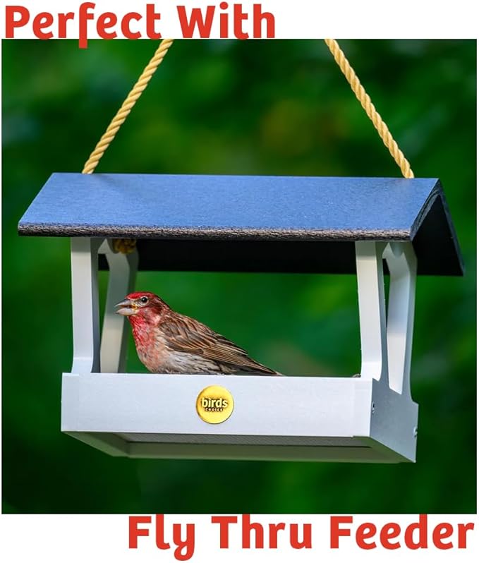 Birds Choice Cardinal's Crave Seed Cake | Wild Bird Food for Cardinals | High-Energy Mix of Black Oil Sunflower Seeds, Pecans & Millet | High Protein & Fat Backyard Feeders | 0.55 lbs (6-Pack)