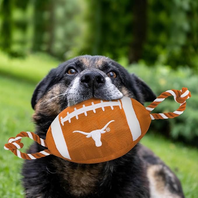 Pets First NFL Unisex NFL Nylon Football