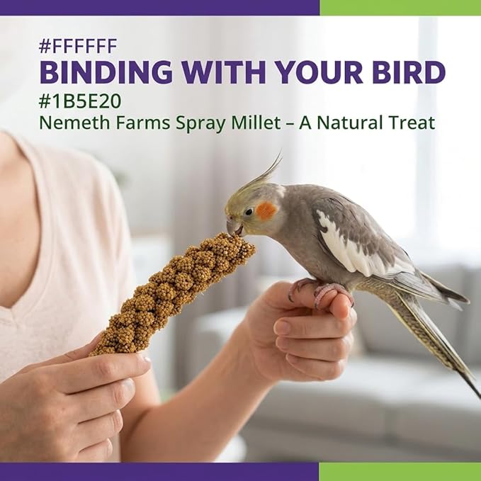 Nemeth Farms Spray Millet - Edible Tops Only, Non-GMO and Sun-Dried - 25 lbs Bulk for Parakeets, Cockatiels and Parrots