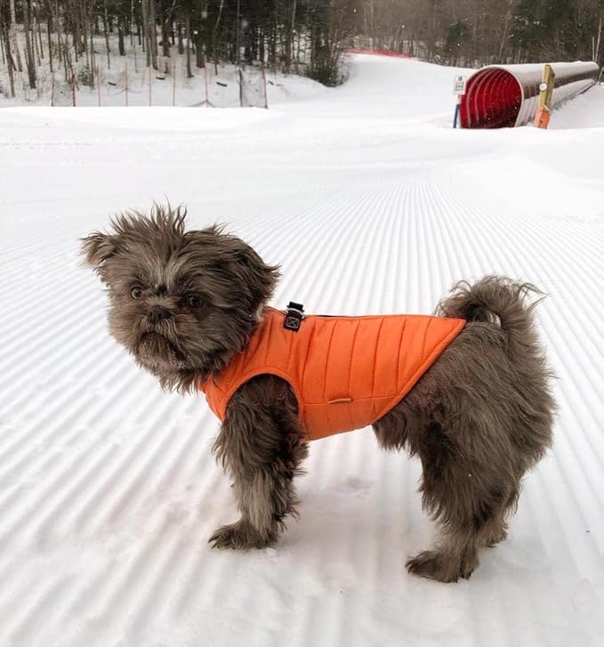 Gooby Puffer Vest Dog Jacket - Orange, X-Small - Ultra Thin Zip Up Wind Breaker with Dual D Ring Leash Water Resistant for Small to Medium Dogs