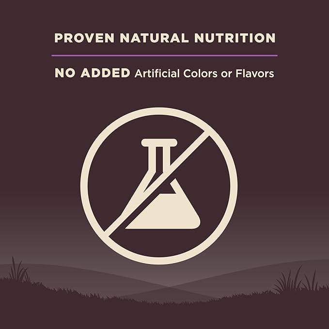 Wellness CORE Age Advantage Senior Dry Dog Food, Grain Free Kibble, Natural, High Protein, Turkey and Chicken Recipe, 4 lb Bag