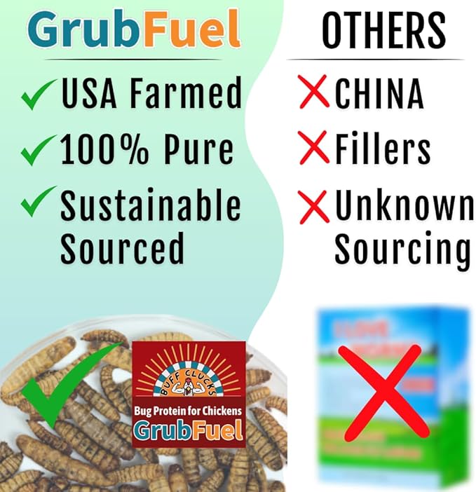 Buff Clucks Grub Fuel Black Soldier Fly Larvae for Chickens - Nutrient-Packed BSFL, Sustainably Sourced Snack for Poultry, Rich in Protein, Calcium, Fiber, Essential Fatty Acids, USA Grown (1LB)