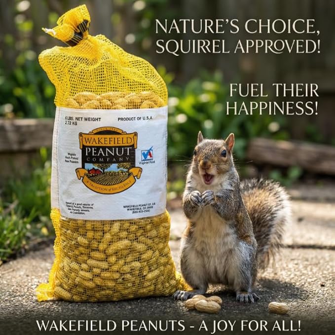 Wakefield Premium Virginia Peanuts In-Shell for Squirrels, Blue Jays & Wildlife - 6 LB Bag - Hand-Picked, Raw, Unsalted, High Protein Wild Bird & Animal Feed