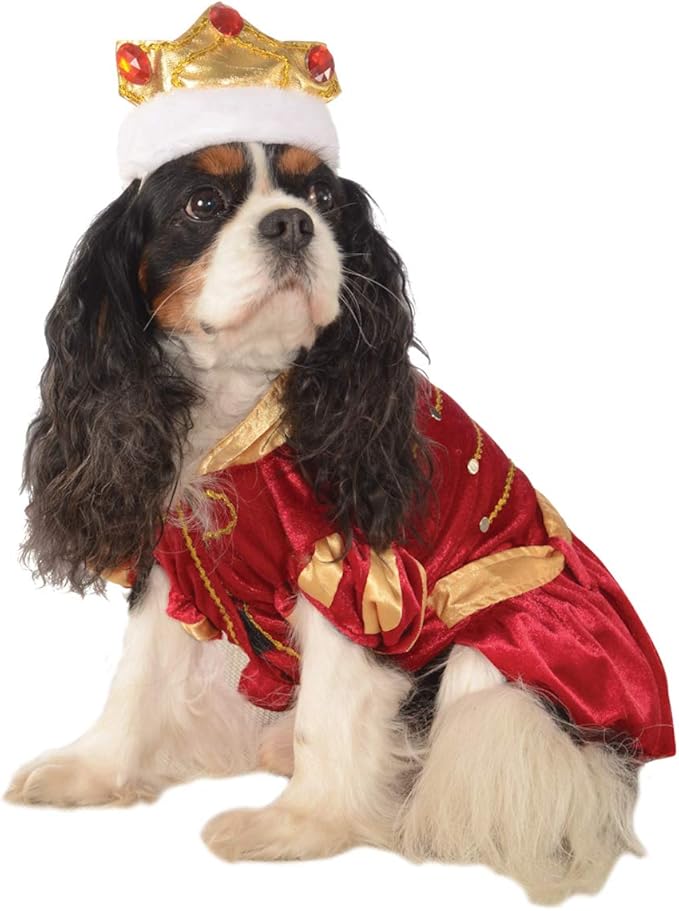 Rubies Kanine King Pet Costume for Dogs or Cats, Small
