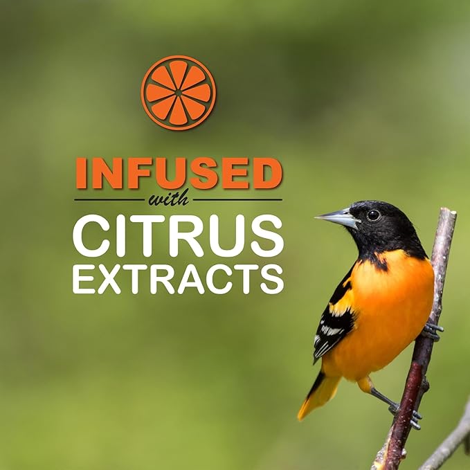 sweet-seed Oriole Nectar 250mL (8oz), Ready to Use - Extends The Life of Nectar for Oriole Feeders | Ultimate Oriole Food… (1-Pack)
