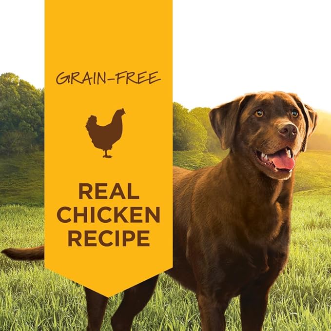 Instinct Original Wet Dog Food, Grain Free Recipe - Real Chicken, 13.2 Ounce (Pack of 6)