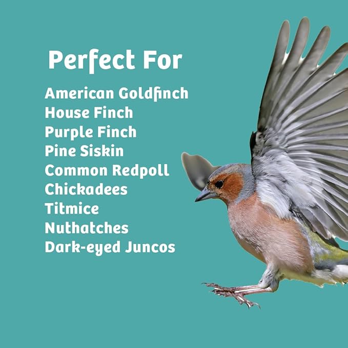 Birds Choice Finch Feast Wild Bird Food | Nutrient-Rich Bird Seed Blend | High-Energy with Nyjer Thistle, Sunflower Chips, Nyjer & Vegetable Oil | High Protein & Fat for Attracting Finches | 5 lbs