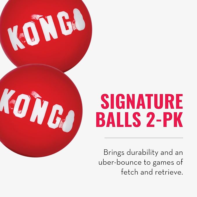 KONG Floppy Knots & Signature Balls (2 Pack) - Knotted Dog Toy Entices Play & Satisfies Instincts - Dog Supplies with Minimal Stuffing - Strong Dog Toy Balls for Fetch - Fox, for Large Dogs