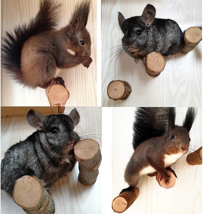 QBLEEV 3 PCS Hamster Chew Toys for Teeth, Chinchilla Cage Accessories Supplies, Guinea Pigs Natural Wood Chews Sticks for Rat Squirrels, Rabbits Perch Toys Birds Standing Platform for Parrot Bunny