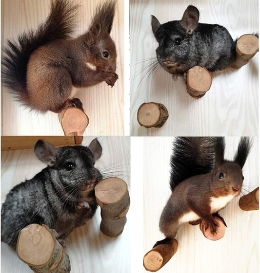 QBLEEV 3 PCS Hamster Chew Toys for Teeth, Chinchilla Cage Accessories Supplies, Guinea Pigs Natural Wood Chews Sticks for Rat Squirrels, Rabbits Perch Toys Birds Standing Platform for Parrot Bunny