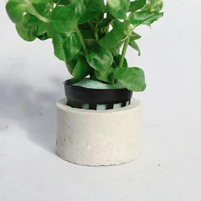 15PCS Ceramic Aquatic Plant Fixing Ring Set Aquarium Pots Landscape Decoration Fish Tank Accessories Pet Supplies