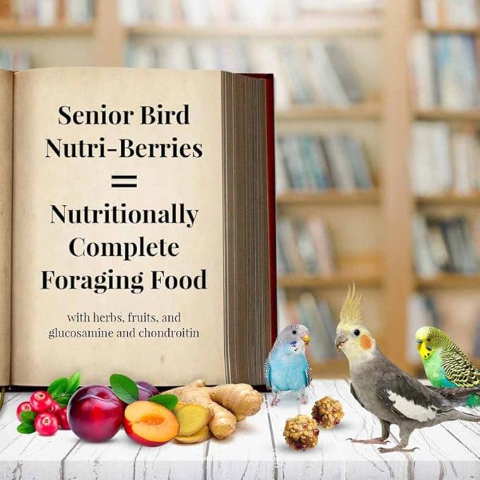 LAFEBER'S Senior Bird Nutri-Berries Pet Bird Food, Made with Non-GMO and Human-Grade Ingredients, for Parakeets & Cockatiels (10 oz Pack of 2)