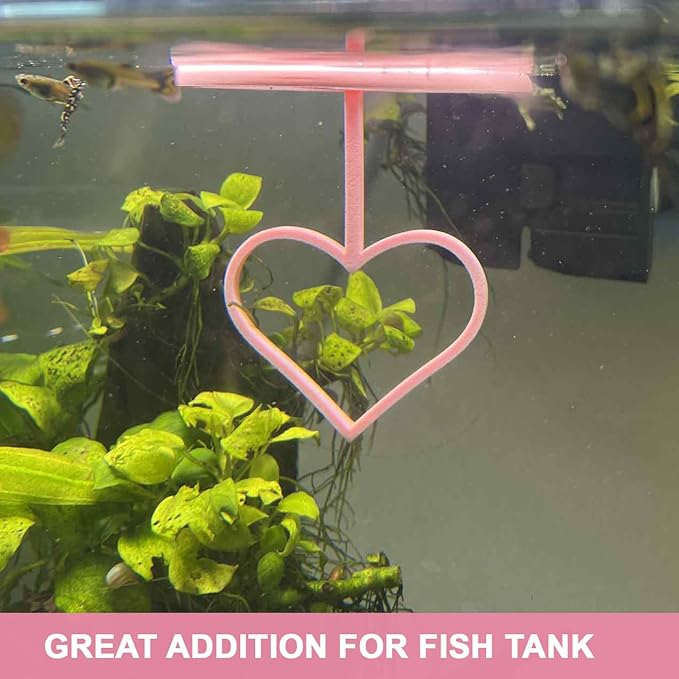 Floating Heart Betta Training Ring, Heart Active Betta Training Floating Ring, Floating Feeder, Betta Loops for Aquarium Decor, Pink, 3.8in x 3.7in (Pink, Single)