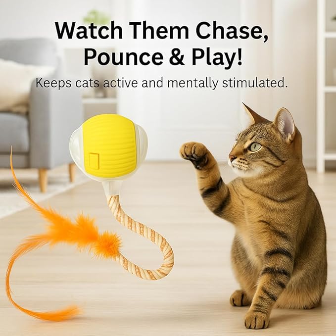 Automatic Cat Toy Ball – Rechargeable Cat Ball with Feather & Ribbon Tail – Light-Up Effects – Smart Rolling Indoor Cat Toys – Dual Speeds – Interactive Cat Toys for Kittens