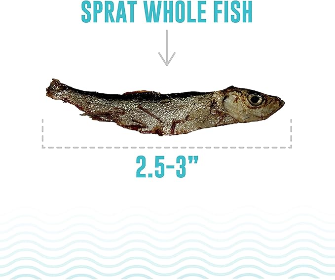 Icelandic+ Whole Fish: Sprat - 0.85oz Bag - Cat Treats, Wild- Caught, 2.5-3" Crunchy Air-Dried Pet Snacks, Single Ingredient, Just Fish-Nothing Else (Pack of 2)