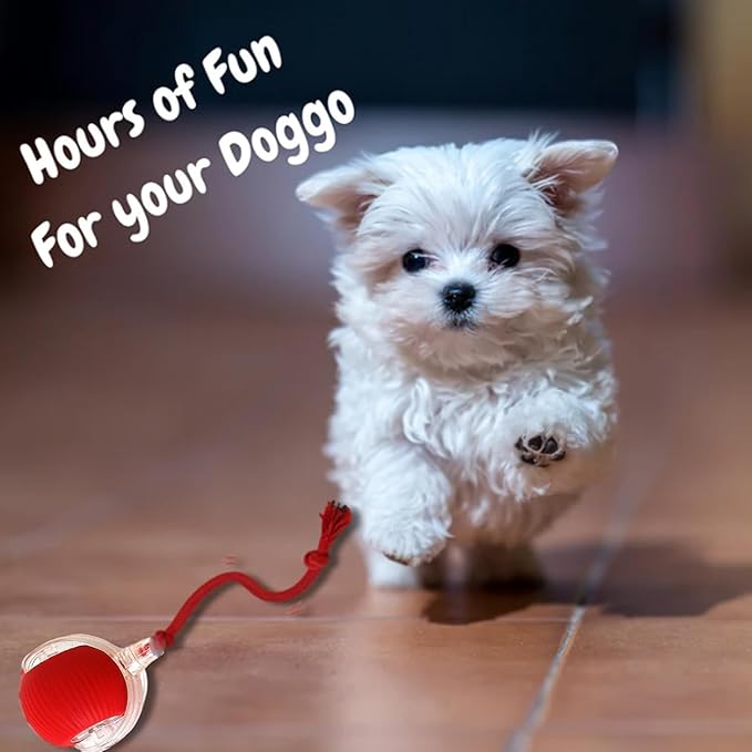 2025 New Interactive Dog Cat Toys Balls, Rolling Ball for Dogs, 360° Smart Automatic Rolling Pet Ball, Electric Dog Balls Toy, Fast Moving, for Indoor Cat and Dogs