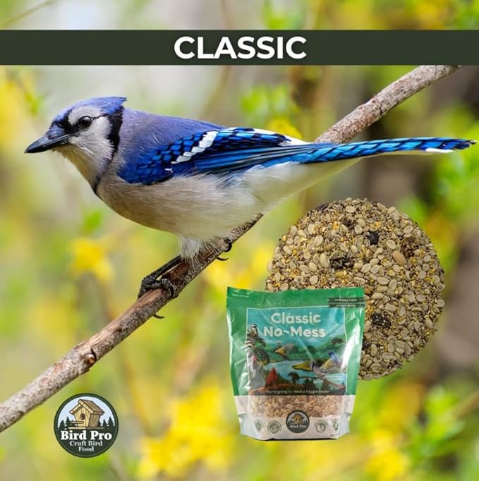 Bird Pro Classic No-Mess Wild Bird Seed – Premium Shell-Free Blend with Nuts, Sunflower Chips & Cranberries – Clean Feeding for Backyard Birds (18 Pounds)