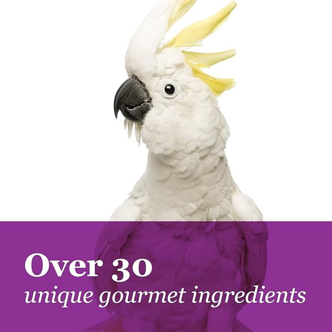 Tropical Carnival Brown’s Gourmet Macaw Bundle Gourmet Macaw Big Bites Food for Big Beaks 14lb and Fruit & Nut Big Bites Treats. 10oz