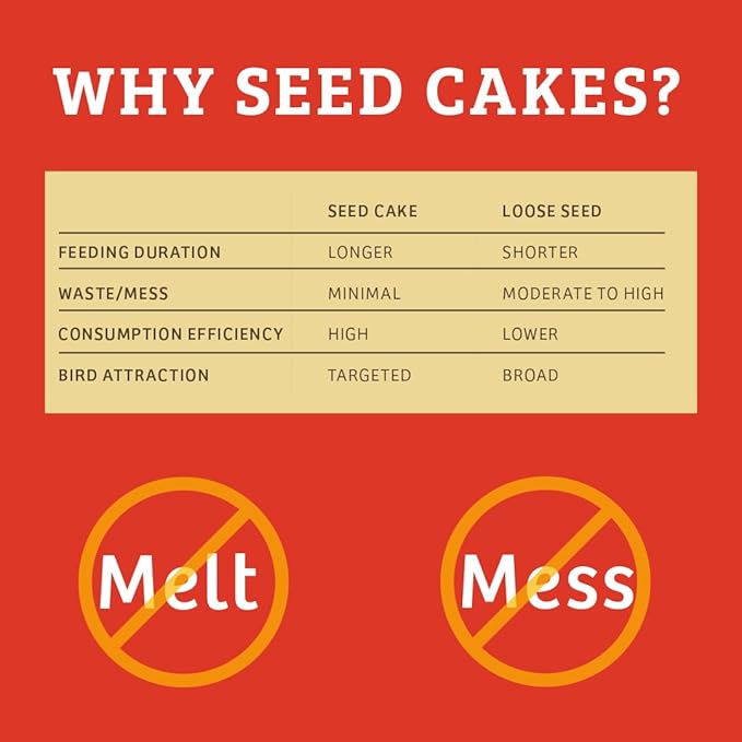 Birds Choice Cardinal's Crave Seed Cake | Wild Bird Food for Cardinals | High-Energy Mix of Black Oil Sunflower Seeds, Pecans & Millet | High Protein & Fat Backyard Feeders | 0.55 lbs (6-Pack)