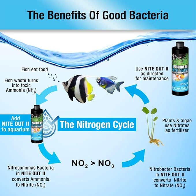 MICROBE-LIFT NITEH04 Nite-Out II Aquarium and Fish Tank Cleaner for Rapid Ammonia and Nitrite Reduction, Freshwater and Saltwater, 4 Ounces (Pack of 2)