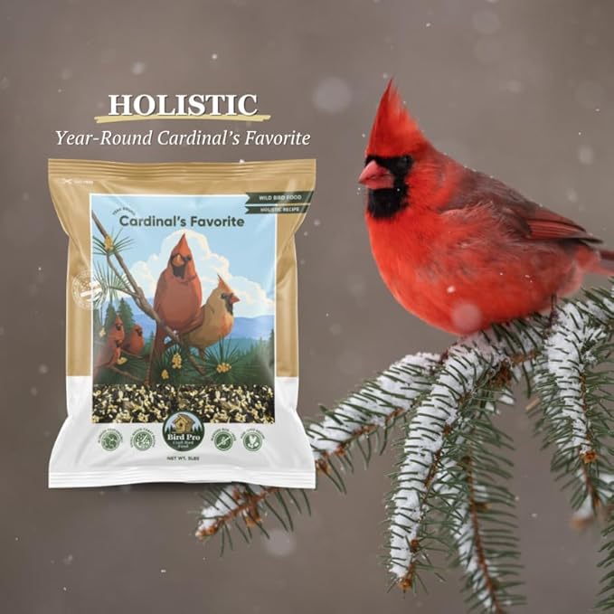 Bird Pro Holistic Bird Seed - Premium Seed for Backyard Feeding (36 Pounds, Cardinal's Favorite)