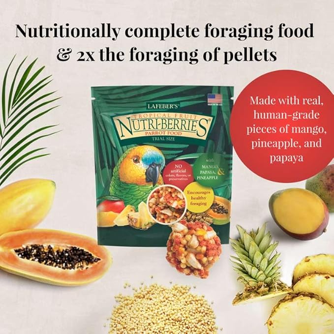 LAFEBER'S Foraging Fun Pack Pet Bird Food, Made with Non-GMO and Human-Grade Ingredients 5 oz (Conure)