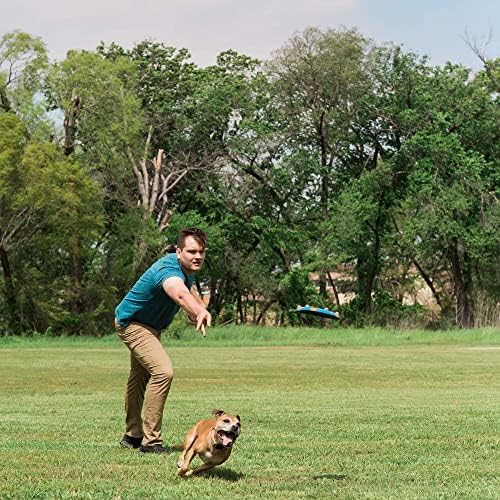 Chuckit! Whistle Flight Outdoor Dog Fetch Toy, Orange/Blue, 10.6" x 1.2" x 11.1", For Medium to Large Dogs