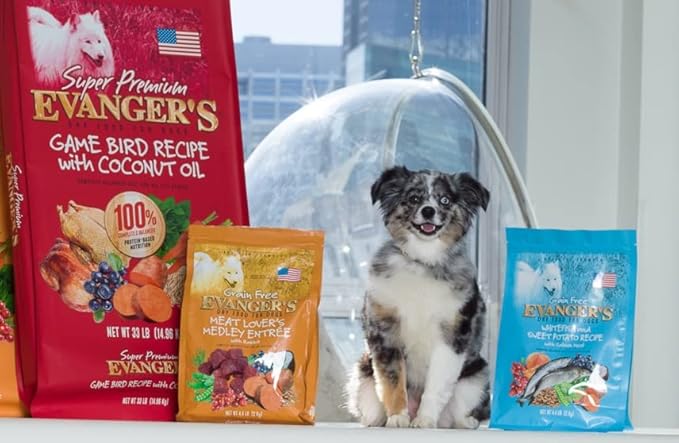Evanger's Super Gamebird Recipe with Coconut Oil Dry Dog Food – 4.4 lb Bag – Hypoallergenic Duck & Turkey Formula – Grain-Free, Supports Digestive & Coat Health