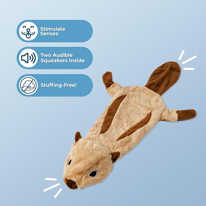 Best Pet Supplies Squeaky Dog Toys with Soft Durable Fabric for Small, Medium and Large Pets Interactive Toy for Indoor Play, Supports Active Biting and Play - Squirrel, Small