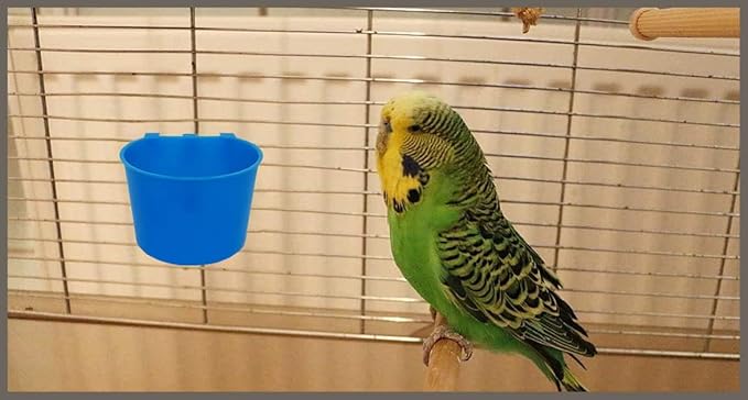 Pack of 20 Chicken Feeder Cups for Cage Hanging Bird Waterer 8 OZ Rabbit Water Food Bowl Pigeon Feeding Dishes Bunny Poultry Coop Drinker Quail Seed Treats Dispenser Duck Drinking Bottle