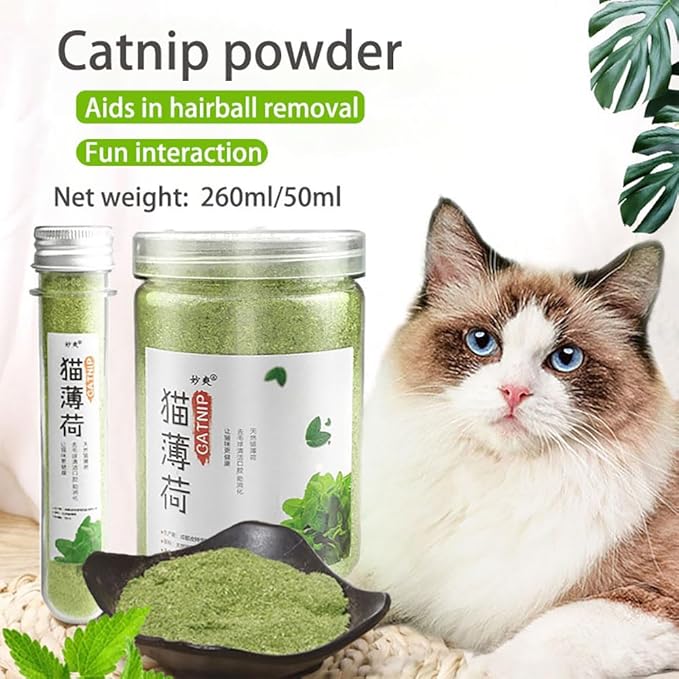 Premium Natural Catnip for Cats, Fun Feline Playtime Treat (260ML)