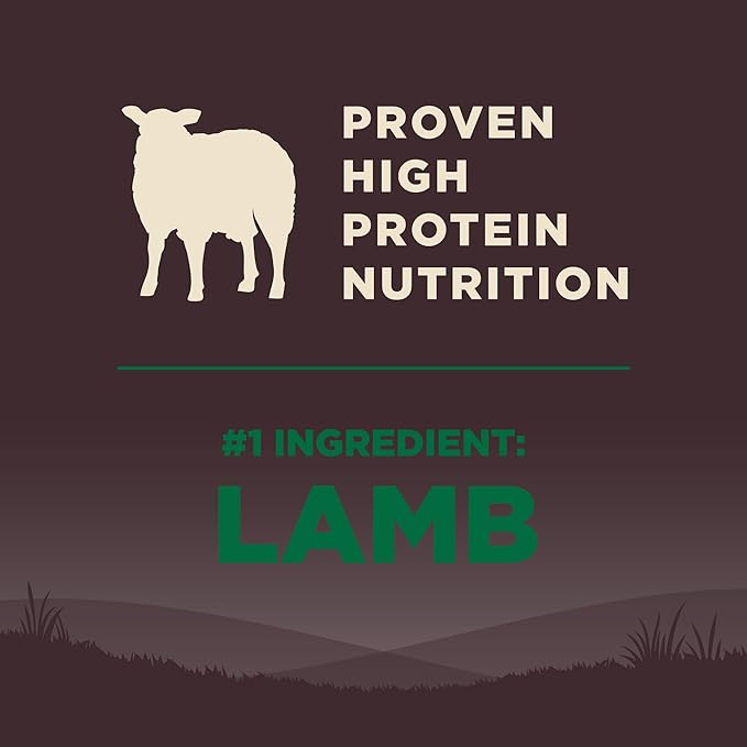 Wellness CORE Adult Dry Dog Food, Grain Free Kibble, Natural, High Protein, Lamb Recipe, 4 lb Bag