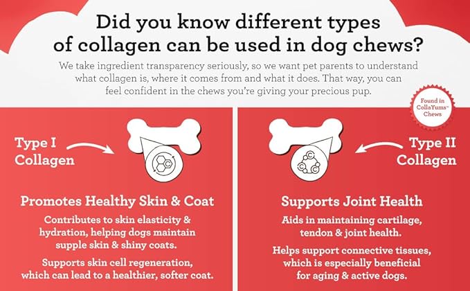 DreamBone CollaYUMS Twists Plus Collagen Chews for Dogs, 10 Count, Treat Your Dog to Rawhide-Free Chews Made with Chicken, Vegetables and Peanut Butter (Pack of 2)