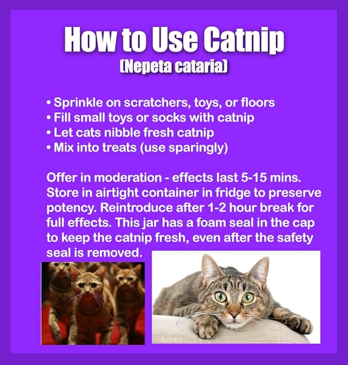 Catnip Blend - Non-Addictive Catnip Treats for Enhanced Playfulness. North American Crafted, 100% Natural. Ideal for Complementing Catnip Toys, Catnip Spray, and Cat Accessories (1 Cup)