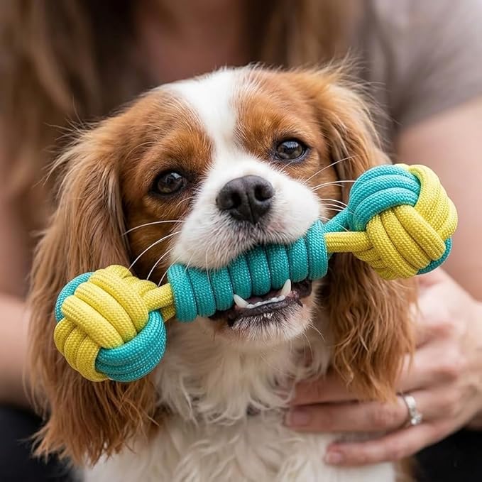 Dual-Color Polypropylene Woven Dumbbell Chew Toy for Pets, Durable Teething & Interactive Play Ball for Small and Medium Dogs and Cats (Yellow-Green)