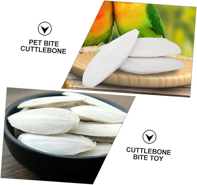 GANAZONO 12sets Hamster Chew Toys Cuttlebone Holder Bird Cage Accessories Pet Toys for Molars Calcium